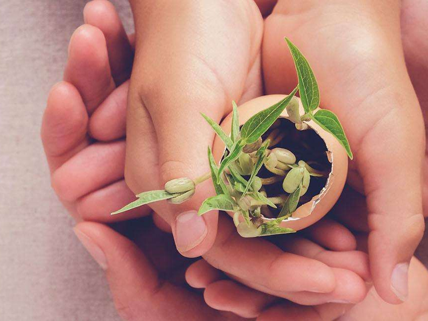 ESG-Kriterien und Versicherungsprodukte